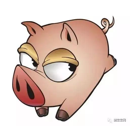 娱乐吃瓜酱肥肥猪的日常,笑料百出，趣味横生